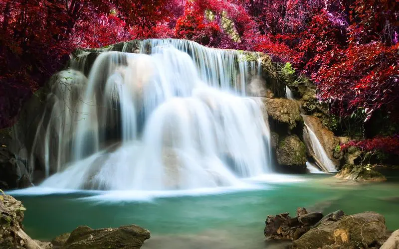 智慧独特无人化